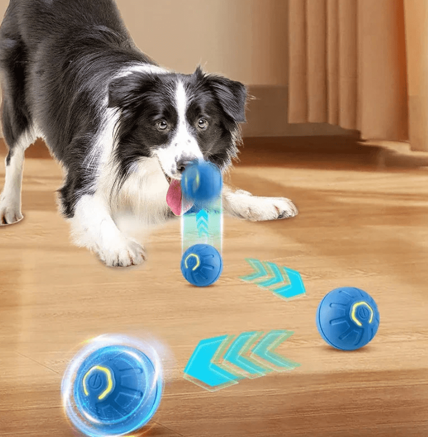 The Best Toys for Puppies - TailWaggers