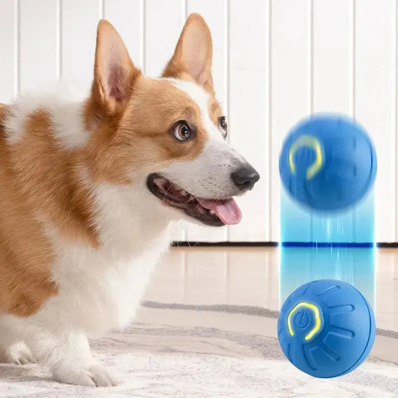 Smart USB Jumping Ball Toy