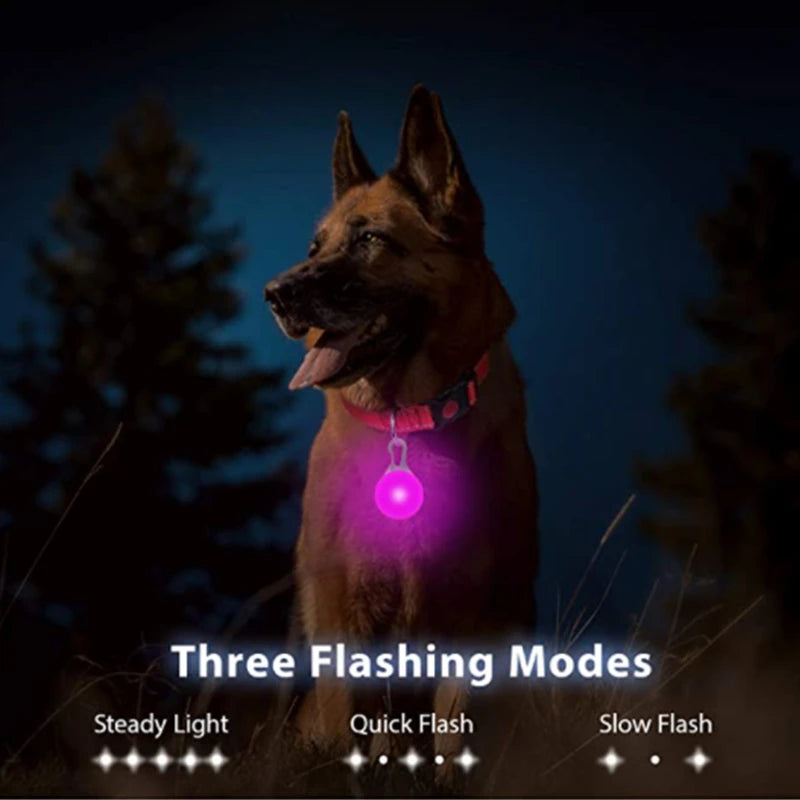 Glowing Dog Collar with Detachable Light for safe Nightwalks