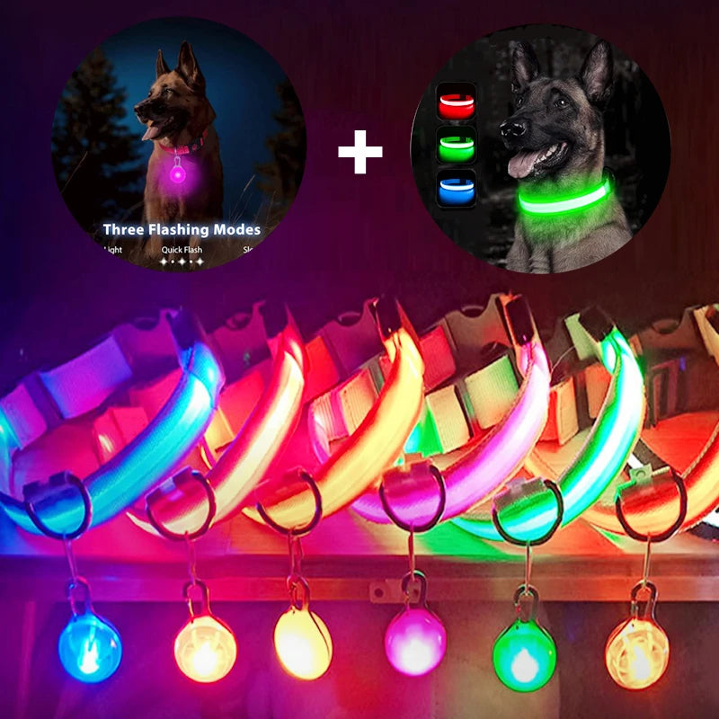 Glowing Dog Collar with Detachable Light for safe Nightwalks