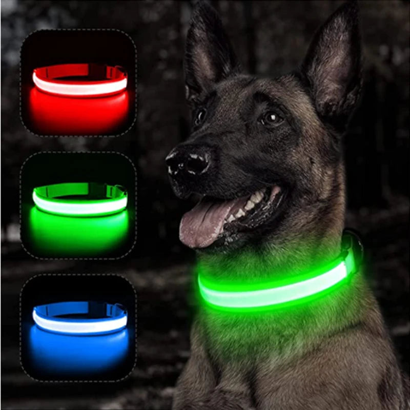 Glowing Dog Collar with Detachable Light for safe Nightwalks