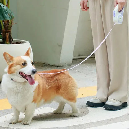 Retractable Dog Leash for Nighttime Walks