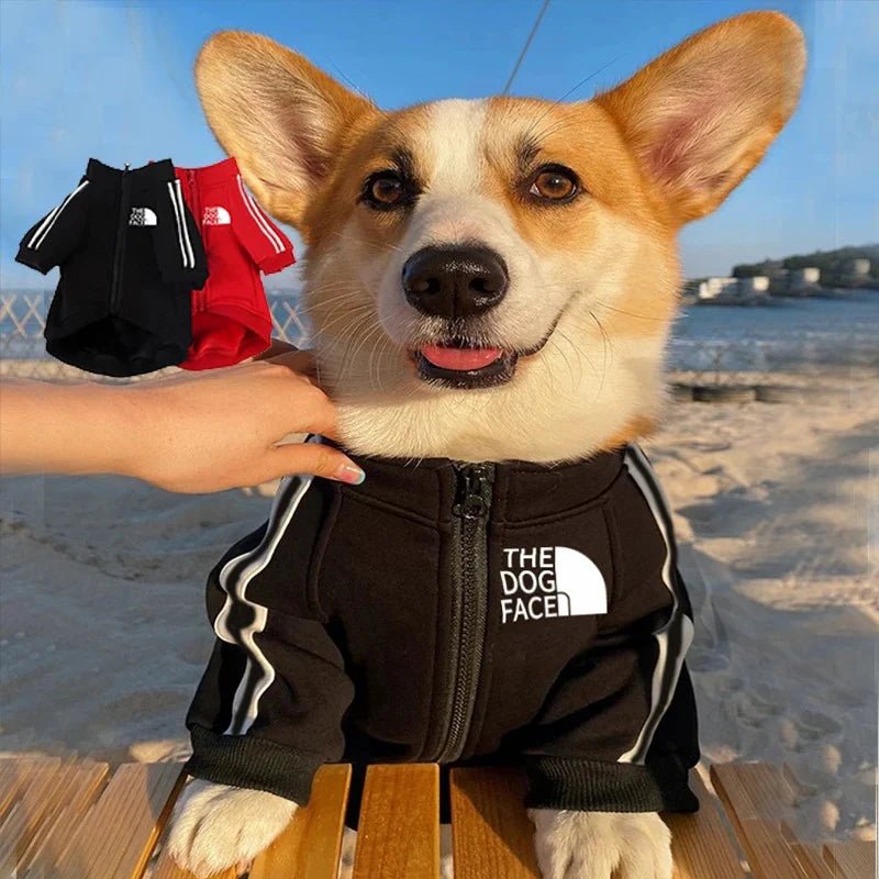 Cool Dog Hoodies: Cozy & Trendy Canine Attire - TailWaggers