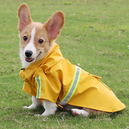 Corgi Cloak Style Dog Raincoat - TailWaggers