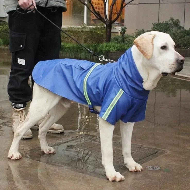 Corgi Cloak Style Dog Raincoat - TailWaggers