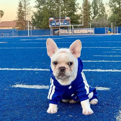 Dog Jumpsuit Outfit - TailWaggers