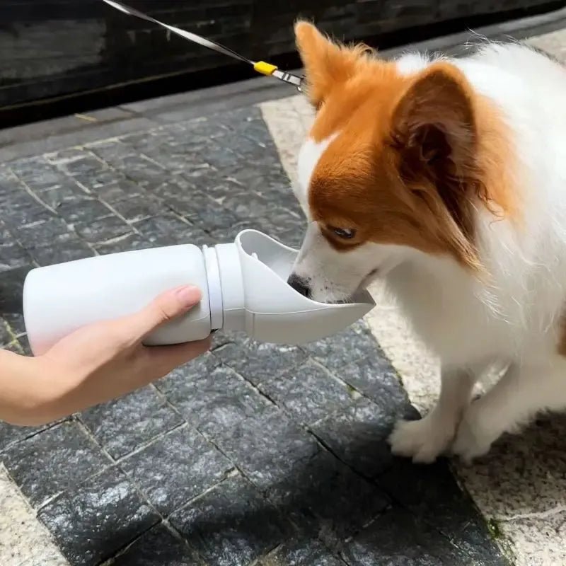 Folding Pet Water Dispenser - TailWaggers