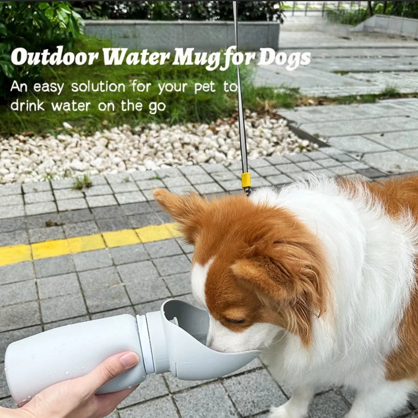 Folding Pet Water Dispenser - TailWaggers