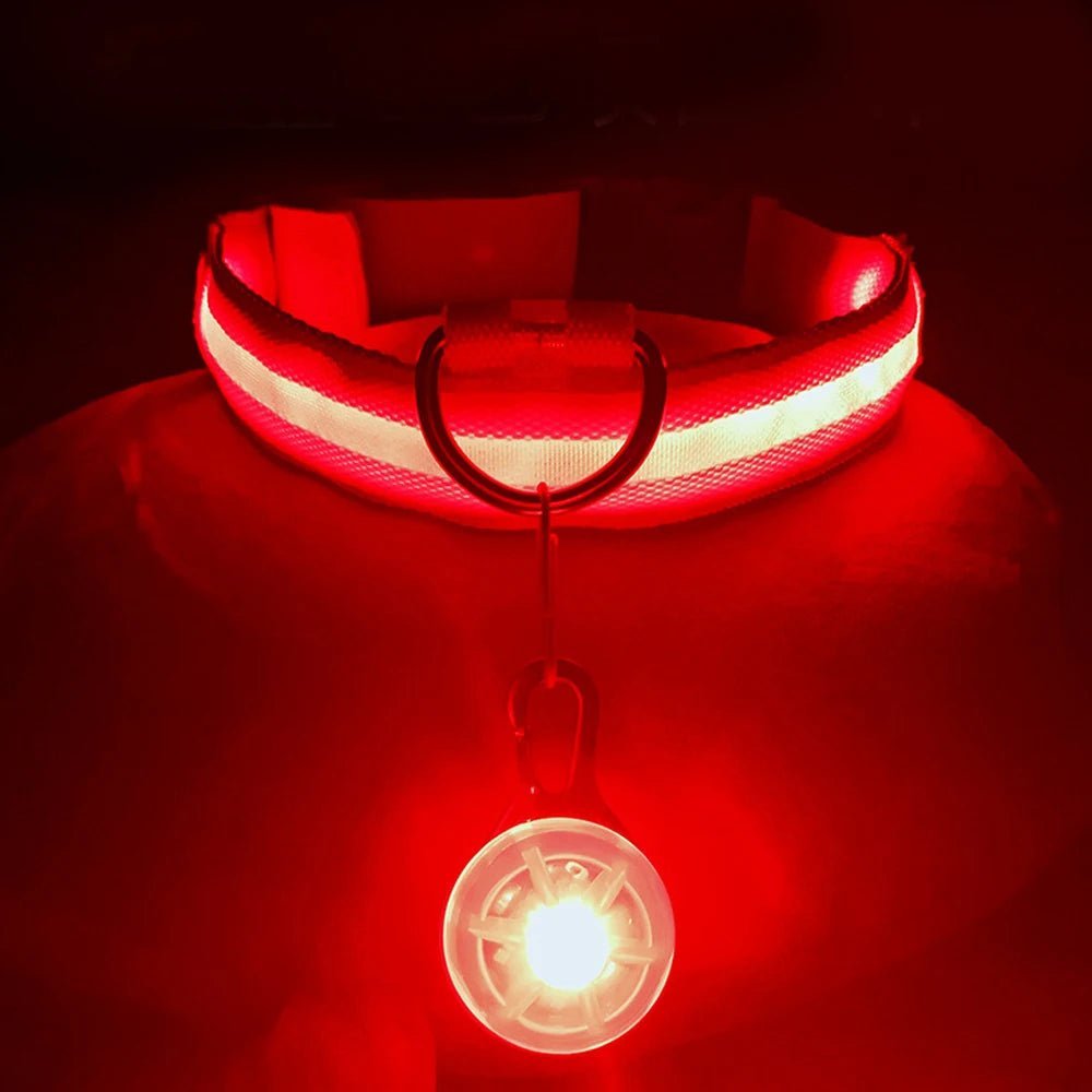 Glowing Dog Collar with Detachable Light for safe Nightwalks - TailWaggers