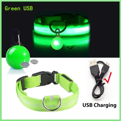 Glowing Dog Collar with Detachable Light for safe Nightwalks - TailWaggers