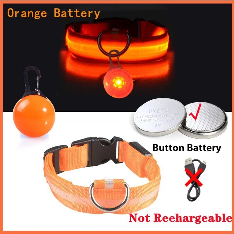 Glowing Dog Collar with Detachable Light for safe Nightwalks - TailWaggers