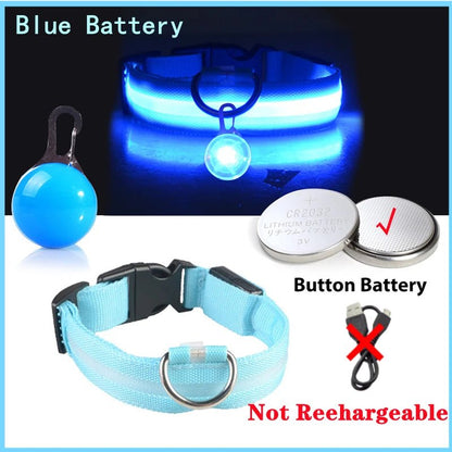 Glowing Dog Collar with Detachable Light for safe Nightwalks - TailWaggers