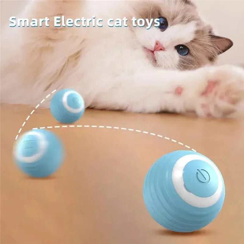 Magic Cat Ball Toy - TailWaggers