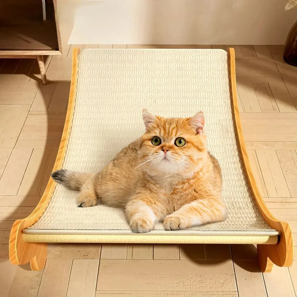 Wooden Cat Scratching Recliner