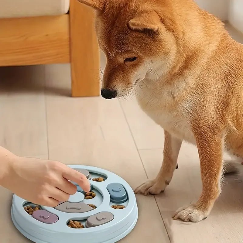 Paw Puzzle Feeder - TailWaggers